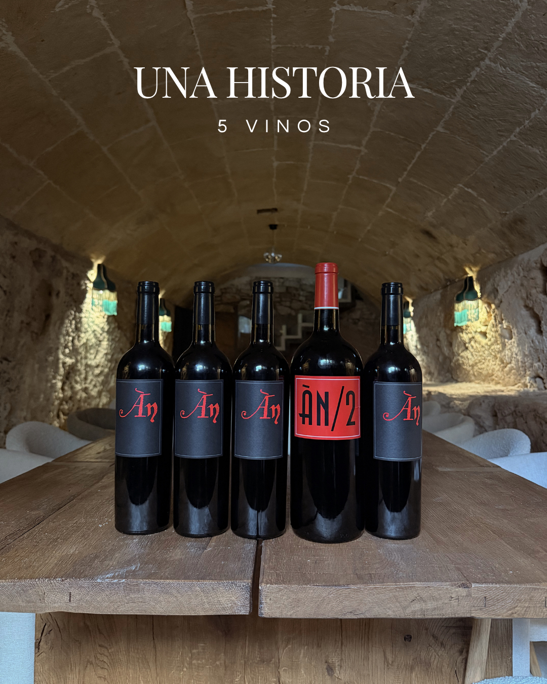 Una historia, cinco vinos: las botellas del encuentro de Ànima Negra reunidas en el celler